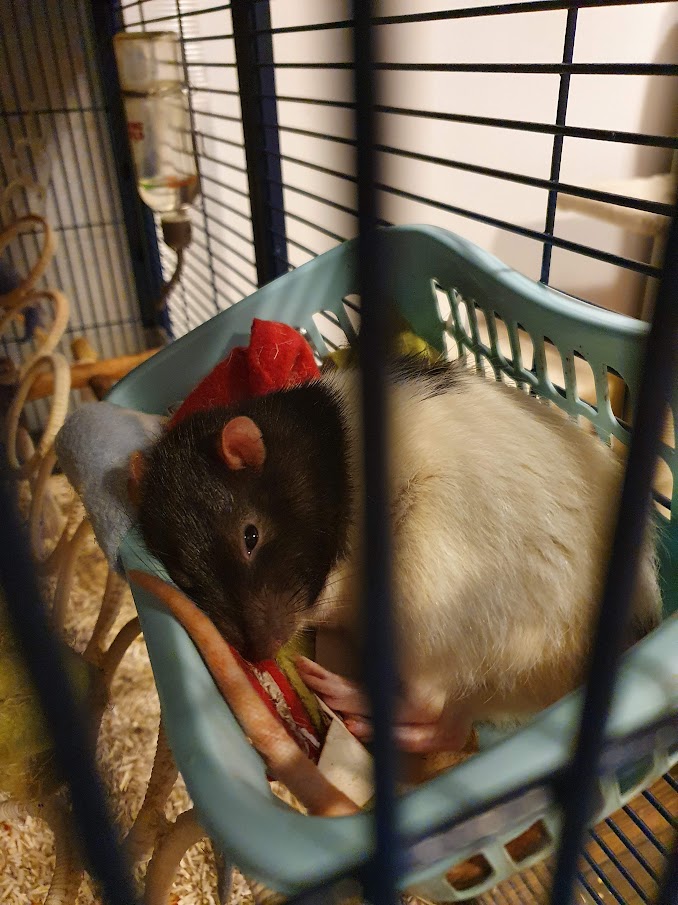 20210525_211821.jpg