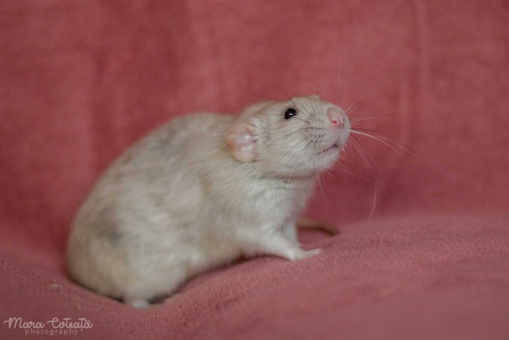 IMG_0760.jpg